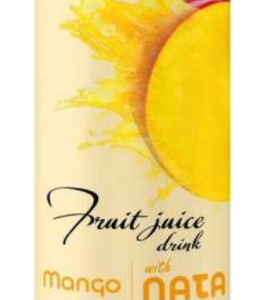 AYDIN FRUIT JUICE (MANGO)